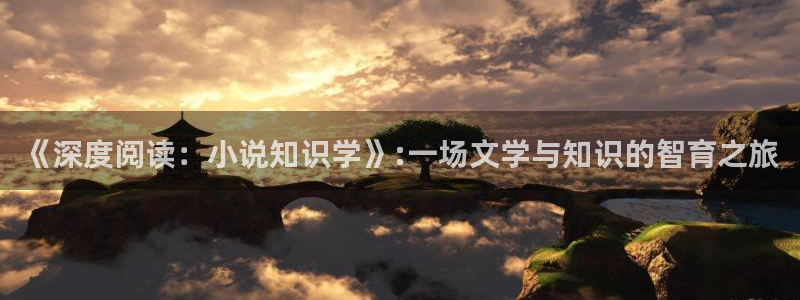 清晨心动孟五月小说全文免费阅读：《深度阅读：小说知识学》:一场文学与知识的智育之旅