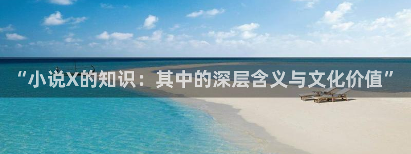 四月与五月小说：“小说X的知识：其中的深层含义与文化价值”