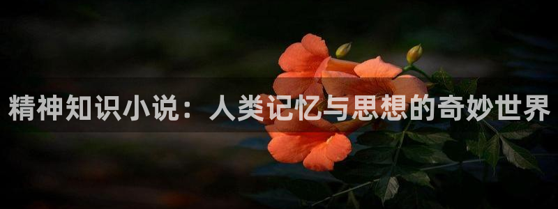 五月小说网：精神知识小说：人类记忆与思想的奇妙世界